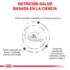 ROYAL CANIN VD Canine Neutered Adult Large Dog -Animalear Ventas RC VET DRY DogNeutADLD CV 3 es ES 62fcc5013e340