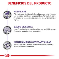 ROYAL CANIN VD Canine Neutered Adult Large Dog -Animalear Ventas RC VET DRY DogNeutADLD CV 4 es ES 62fcc50243f86