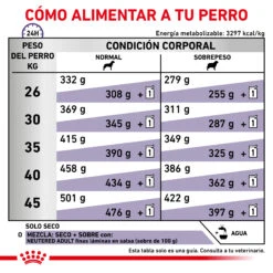 ROYAL CANIN VD Canine Neutered Adult Large Dog -Animalear Ventas RC VET DRY DogNeutADLD CV 6 es ES 62fcc50354d76