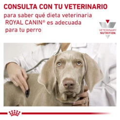 ROYAL CANIN VD Canine Sensitivity Control 20 ROYAL CANIN VD Canine Sensitivity Control -Animalear Ventas RC VET DRY DogSensCtrl CV Eretailkit 6 es ES 62fcbfdb617a0