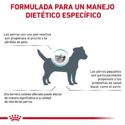 ROYAL CANIN Skin Care Adult Small Dog -Animalear Ventas RC VET DRY DogSkinCareSD CV Eretailkit 8 es ES 62fcc07081129