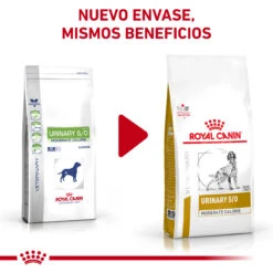 ROYAL CANIN Urinary S/O Moderate Calorie -Animalear Ventas RC VET DRY DogUrinarySOMC CV Eretailkit 1 es ES 62fcc6fb5c7e0