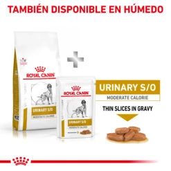 ROYAL CANIN Urinary S/O Moderate Calorie -Animalear Ventas RC VET DRY DogUrinarySOMC CV Eretailkit 6 es ES 62fcc701b13a9
