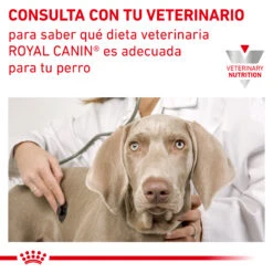 ROYAL CANIN Urinary S/O Moderate Calorie -Animalear Ventas RC VET DRY DogUrinarySOMC CV Eretailkit 7 es ES 62fcc703134c2