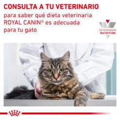 ROYAL CANIN Satiety Weight Management -Animalear Ventas RC VET WET CatSatietyWM TSIG CV Eretailkit 7 es ES 62fce8032cf7f