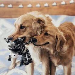 KONG Peluche Yarnimals Mono 5 KONG Peluche Yarnimals Mono -Animalear Ventas RYN11 2 1000x1000 628c8c2fef282