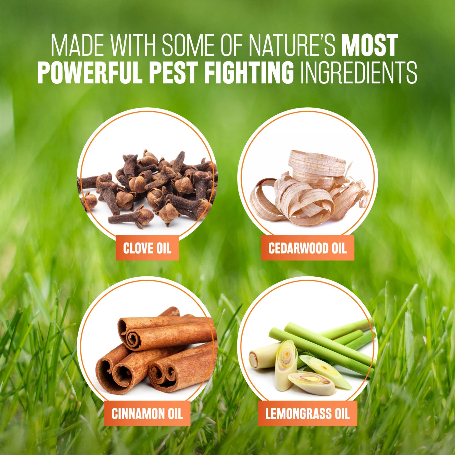 Tropiclean Spray Natural Antiparasitarios Para Perros Y Gatos 7 Tropiclean Spray Natural Antiparasitarios Para Perros Y Gatos - Imagen 5