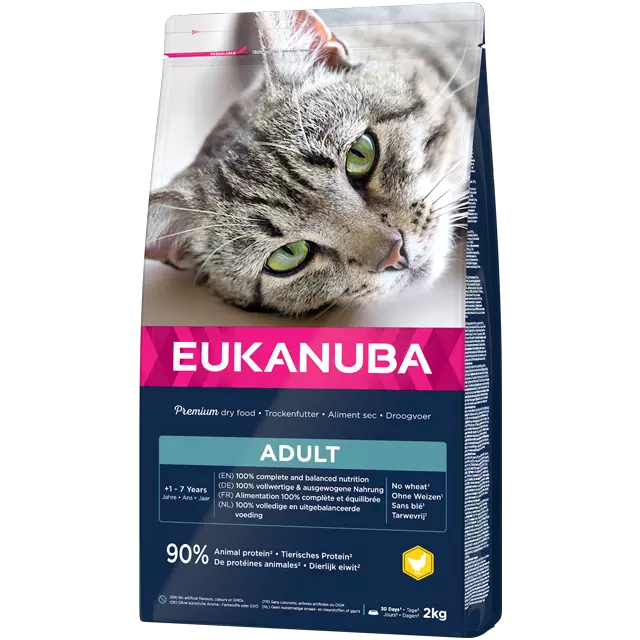 EUKANUBA Cat Adult (Pollo) 3 EUKANUBA Cat Adult (Pollo)