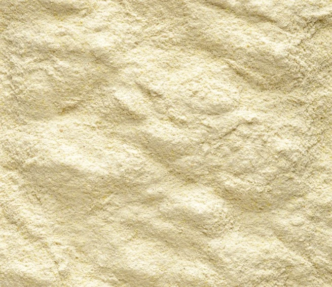 VERSELE-LAGA Nutribird A19 Para Polluelos 4 VERSELE-LAGA Nutribird A19 Para Polluelos - Imagen 2