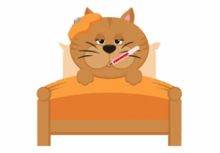 Suplemento Nutracéutico Para Gatos Multiva -Animalear Ventas Viramax 636cc9a3a6471