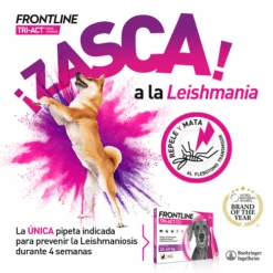 Frontline Pipetas Tri-Act Solución Spot-On Para Perros De 5-10 Kg 12 Frontline Pipetas Tri-Act Solución Spot-On Para Perros De 5-10 Kg -Animalear Ventas VisualTRI 6267f62e72c9d