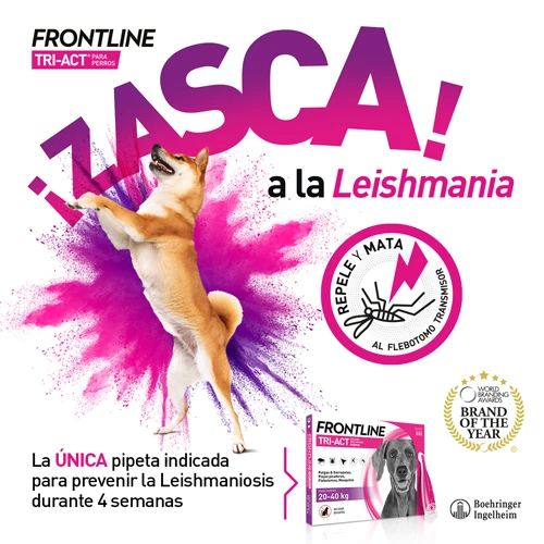 Frontline Pipetas Tri-Act Solucion Spot-On Para Perros 10-20 Kg 5 Frontline Pipetas Tri-Act Solucion Spot-On Para Perros 10-20 Kg - Imagen 3