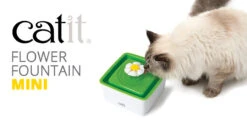 Catit Bebedero Fuente Flower Mini -Animalear Ventas WEB CATIT 4 63766499342f1