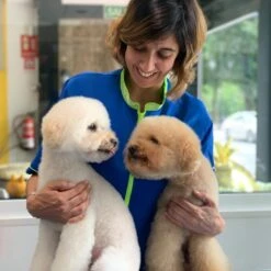 ARTERO Acondicionador Flash -Animalear Ventas WhatsApp Image 2020 07 10 at 20 04 05 2 64ec84fc928b1