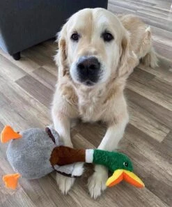 KONG Peluche Shakers Con Sonido Pato -Animalear Ventas ZABAWKA duzego psa SZARPAK kaczka KONG pluszak L Kod producenta 035585360737 64f2439c0fafe