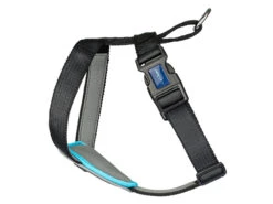 Collar Antiladridos Clix No Bark -Animalear Ventas ad92880c 5303 11ec a515 00505697ce7a 886284290210 2 631b611c98bb5