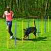 Agility Slalom -Animalear Ventas agility slalom 1