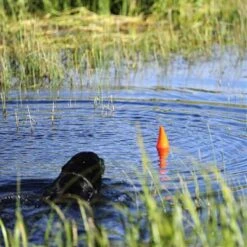 Chuckit! Aleta De Tiburón Flotante Para Perros -Animalear Ventas aleta naranja juguete perro 63e3662a0d17d