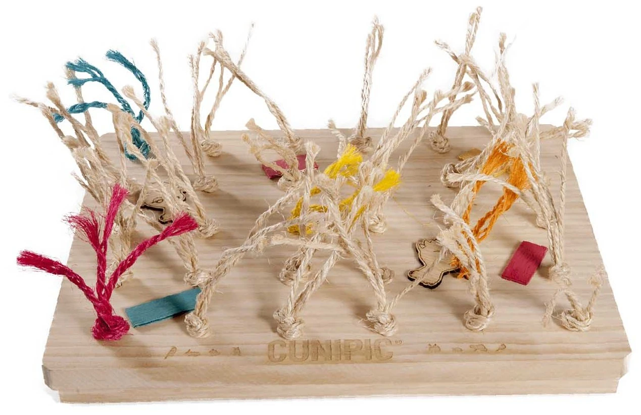 Alfombra De Juego Para Roedores Y Conejos 3 Alfombra De Juego Para Roedores Y Conejos