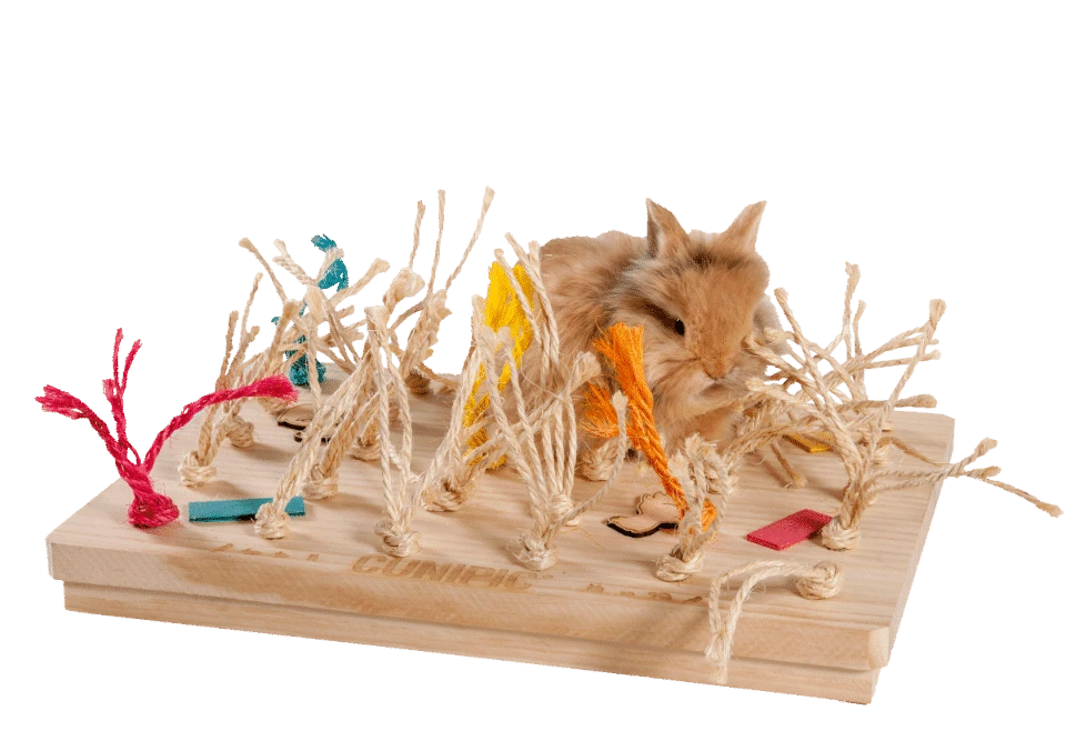 Alfombra De Juego Para Roedores Y Conejos 4 Alfombra De Juego Para Roedores Y Conejos - Imagen 2