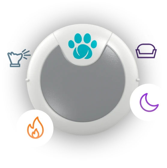 Animo Monitor De Comportamiento Y Actividad 7 Animo Monitor De Comportamiento Y Actividad - Imagen 5