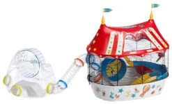 FERPLAST Área Ejercicios Hamster Gym -Animalear Ventas area ejercicios hamster gym 5