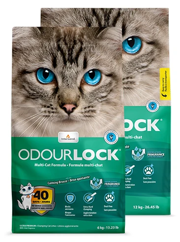 Arena OdourLock Brisa Calmante 4 Arena OdourLock Brisa Calmante - Imagen 2