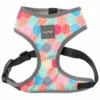 Fuzzyard Arnés Para Perro The Hive -Animalear Ventas arnes para perro the hive 1