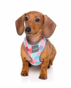 Fuzzyard Arnés Para Perro The Hive -Animalear Ventas arnes para perro the hive 4