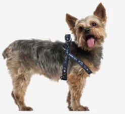 Petral Star Wars Darth Vader Para Perros -Animalear Ventas arnes petral star wars darth vader 11 9