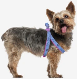 Petral Supergirl Para Perros -Animalear Ventas arnes petral supergirl 11 8