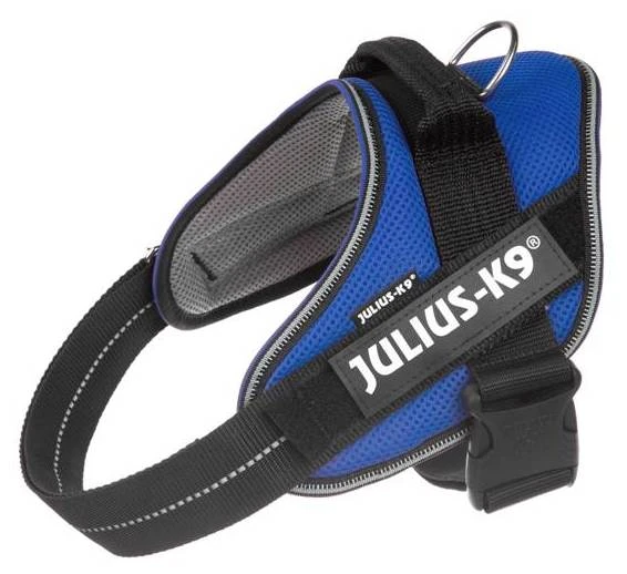 Julius K9 Arnés Powair Verano Azul 5 Julius K9 Arnés Powair Verano Azul - Imagen 3
