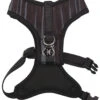 Arnés Star Wars Darth Vader Para Perros -Animalear Ventas arnes star wars darth vader 2
