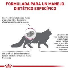 ROYAL CANIN Renal Select Feline -Animalear Ventas beneficios 3 6269112480e9c