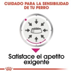 ROYAL CANIN Pack 12 Exigent -Animalear Ventas beneficios 4 624c27b7610ca