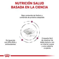 ROYAL CANIN Renal Select Feline -Animalear Ventas benficios 1 626911236e6de