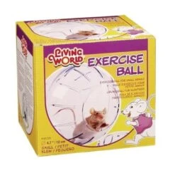 Living World Bola De Ejercicio Pequeña