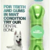 Bone Dental Perejil