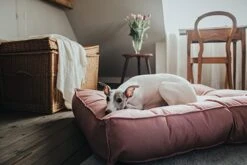 Hunter Cama Acolchada Lancater -Animalear Ventas cama para perros roja 63693d5850280