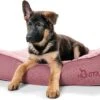 Hunter Cama Acolchada Lancater -Animalear Ventas cama para perros roja hunter 63693d3c1bfe4