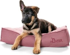 Hunter Cama Acolchada Lancater