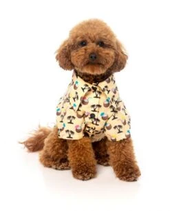 Fuzzyard Camiseta Hawaiana Sandy Coconut -Animalear Ventas camiseta hawaiana perro fuzzyard 6491b7942aafe