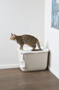 Savic Casita Gato Hop In -Animalear Ventas casita gato hop in 4 4