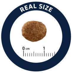 Advance Cat Urinary Stress 18 Advance Cat Urinary Stress -Animalear Ventas cat urinary stress 5