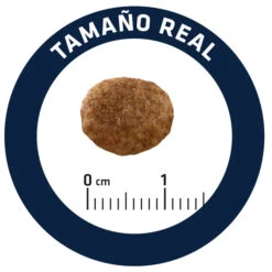 Advance Cat Urinary Stress 19 Advance Cat Urinary Stress -Animalear Ventas cat urinary stress 6