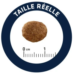 Advance Cat Urinary Stress 20 Advance Cat Urinary Stress -Animalear Ventas cat urinary stress 7