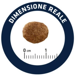 Advance Cat Urinary Stress 21 Advance Cat Urinary Stress -Animalear Ventas cat urinary stress 8