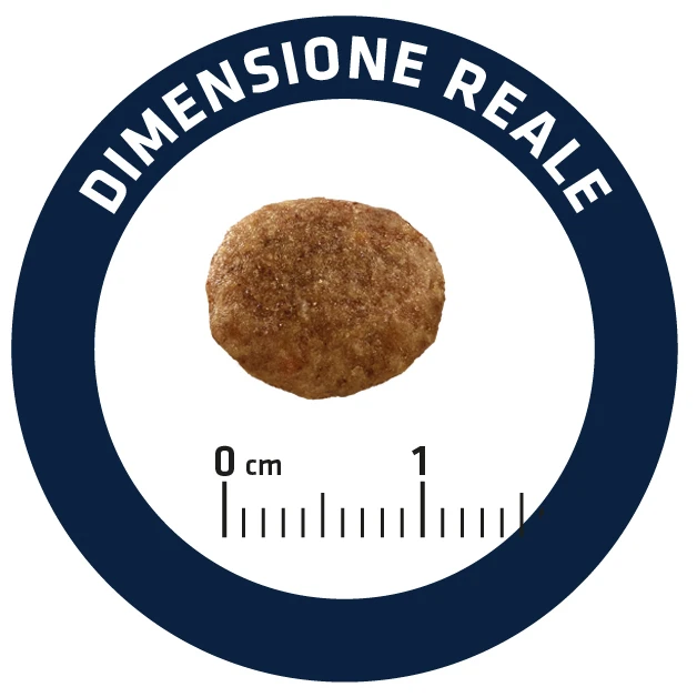 Advance Cat Urinary Stress 10 Advance Cat Urinary Stress - Imagen 8