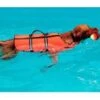 Nayeco Chaleco Salvavidas Para Perros -Animalear Ventas chaleco salvavidas para perros deportes acuaticos g 628652cca9a99