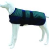 Chaqueta North Pole Model B Verde -Animalear Ventas chaqueta north pole model b verde 1